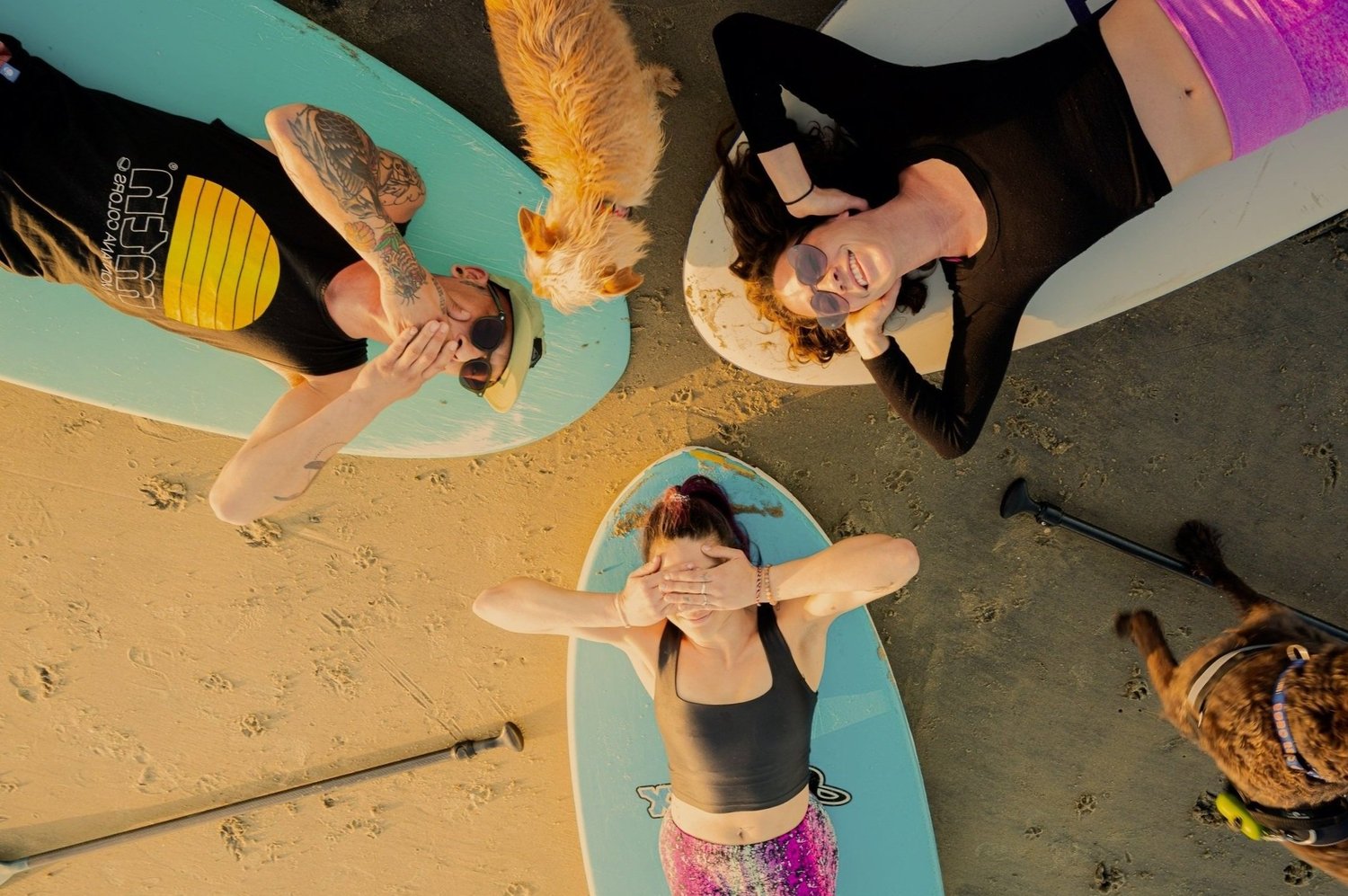 Field Trip paddle experience in San Diego with water, movement, and community energy.